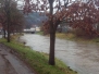 Impressionen von der Mümling beim Hochwasser im Januar 2018