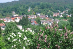 Mlg.-Grb. heute 3 019